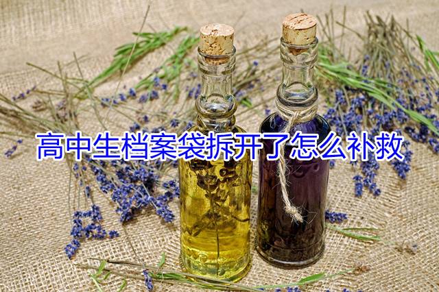 高中生档案袋拆开了怎么补救
