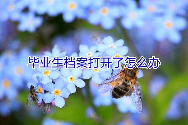 毕业生档案打开了怎么办