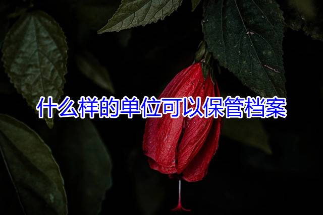 什么样的单位可以保管档案