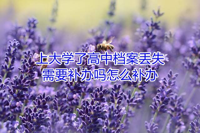 上大学了高中档案丢失需要补办吗怎么补办