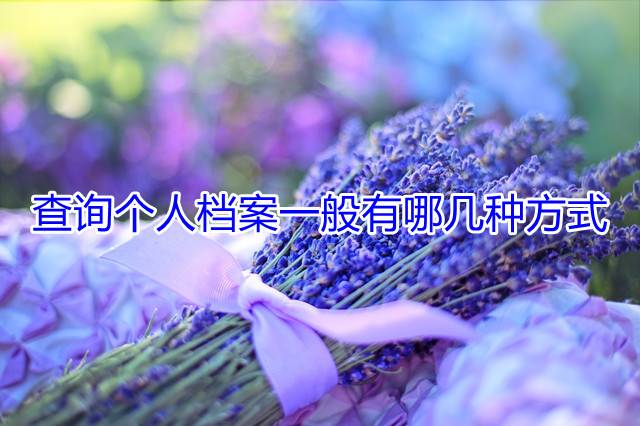 查询个人档案一般有哪几种方式