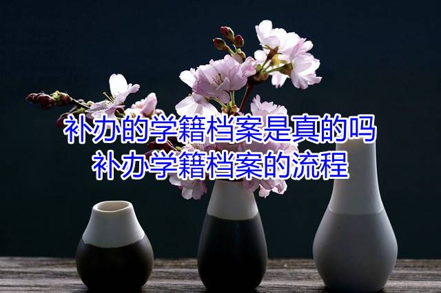 补办的学籍档案是真的吗，补办学籍档案的流程