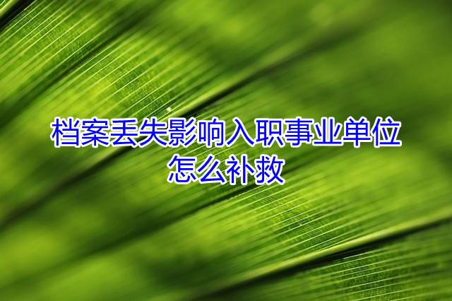 档案丢失影响入职事业单位怎么补救