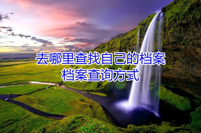去哪里查找自己的档案，档案查询方式
