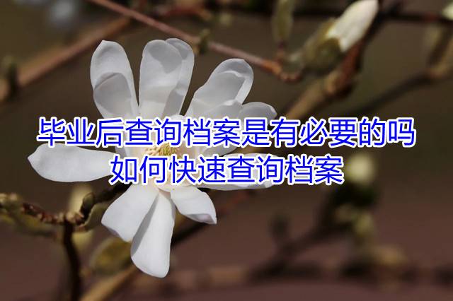 毕业后查询档案是有必要的吗，如何快速查询档案