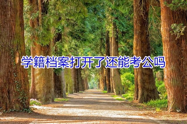 学籍档案打开了还能考公吗