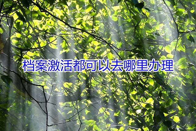 档案激活都可以去哪里办理