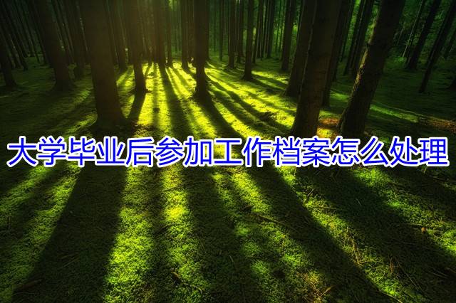 大学毕业后参加工作档案怎么处理