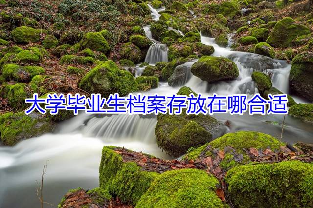 大学毕业生档案存放在哪合适