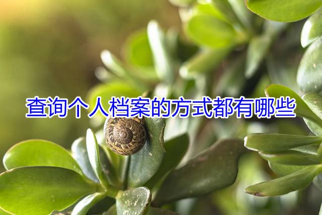 查询个人档案的方式都有哪些