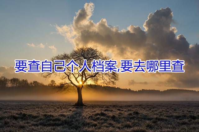 要查自己个人档案,要去哪里查