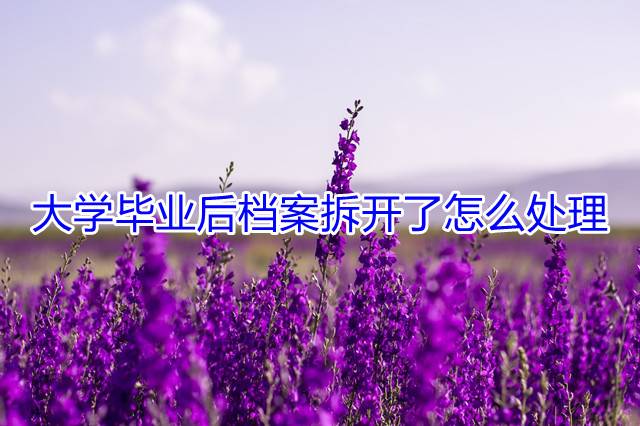大学毕业后档案拆开了怎么处理