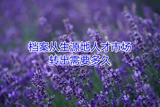 档案从生源地人才市场转出需要多久