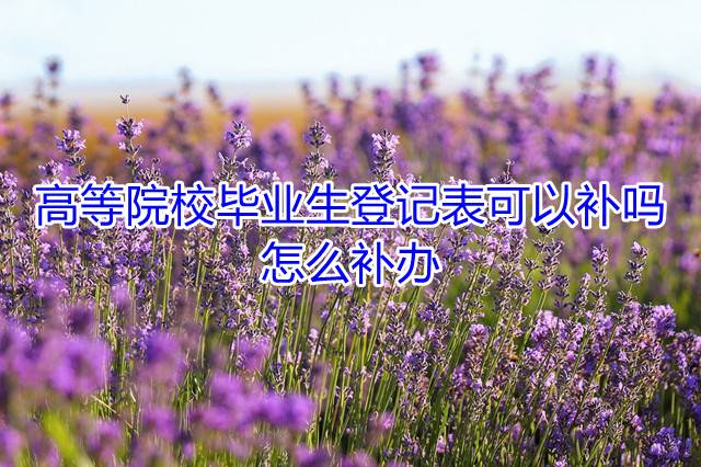 高等院校毕业生登记表可以补吗，怎么补办