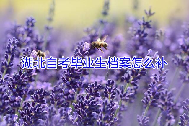 湖北自考毕业生档案怎么补