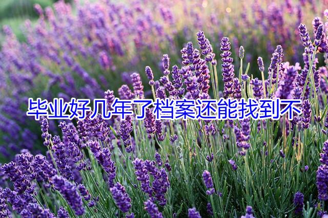 毕业好几年了档案还能找到不
