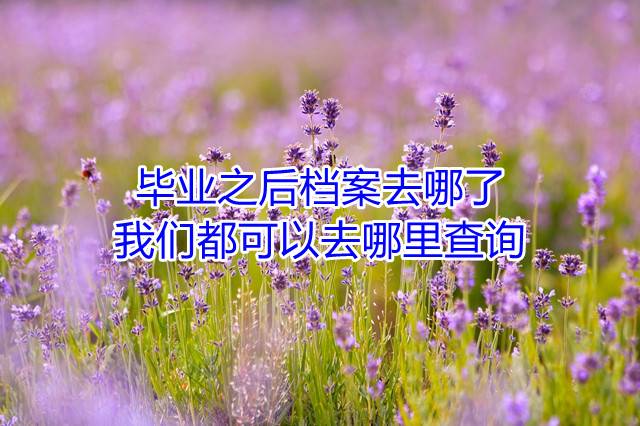 毕业之后档案去哪了，我们都可以去哪里查询