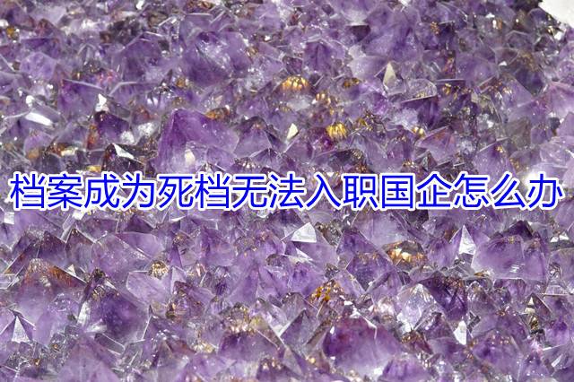 档案成为死档无法入职国企怎么办