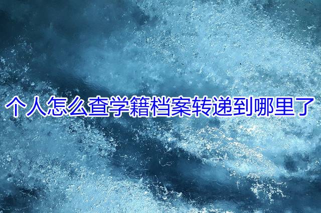 个人怎么查学籍档案转递到哪里了