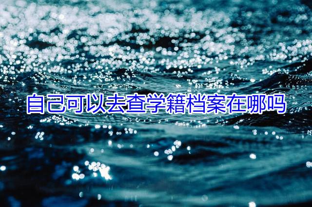 自己可以去查学籍档案在哪吗
