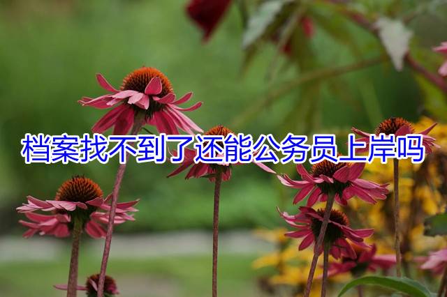 档案找不到了还能公务员上岸吗