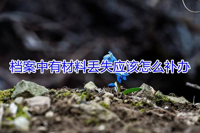 档案中有材料丢失应该怎么补办