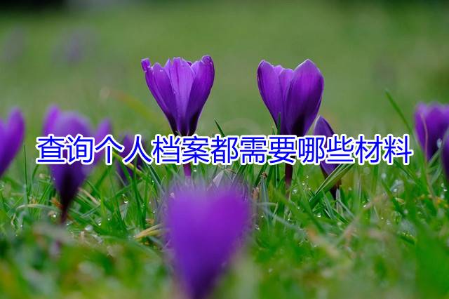 查询个人档案都需要哪些材料