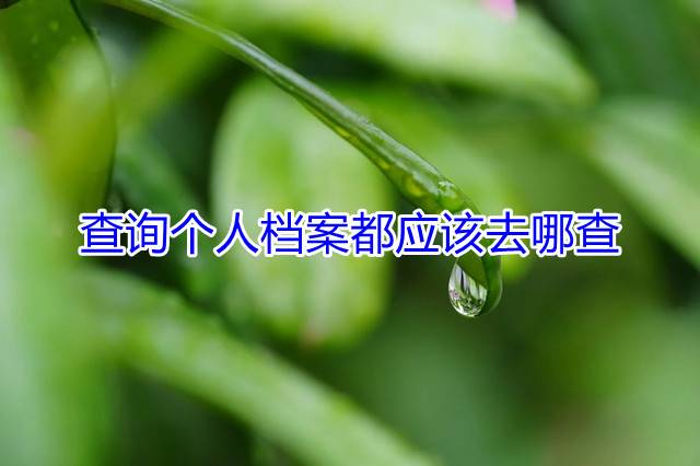 查询个人档案都应该去哪查