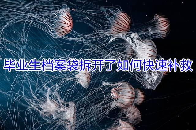 毕业生档案袋拆开了如何快速补救