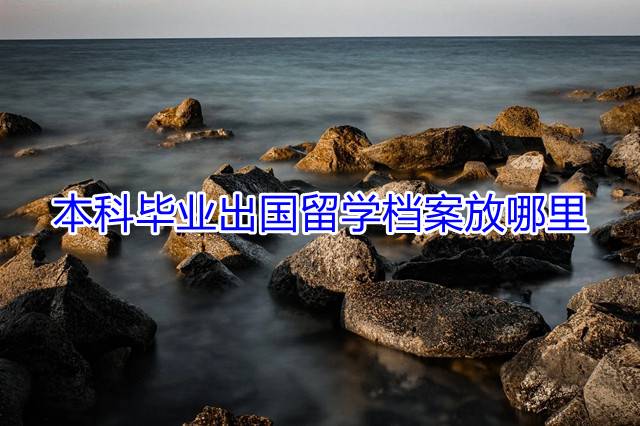 本科毕业出国留学档案放哪里
