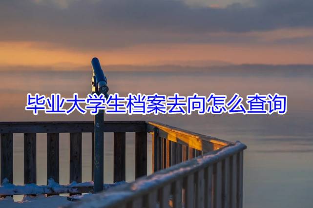 毕业大学生档案去向怎么查询