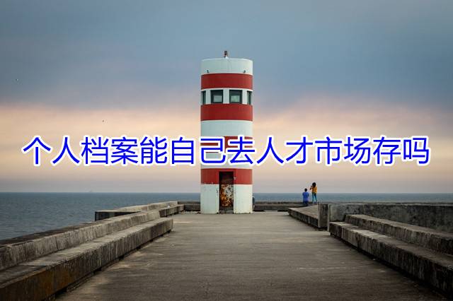 个人档案能自己去人才市场存吗