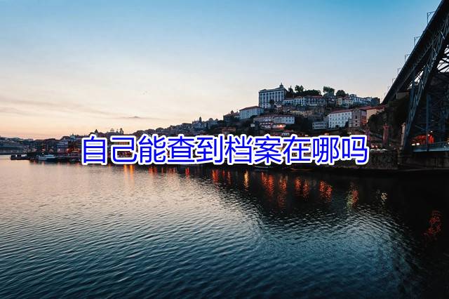 自己能查到档案在哪吗