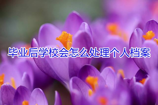 毕业后学校会怎么处理个人档案