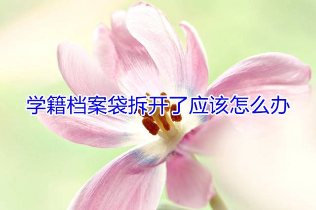 学籍档案袋拆开了应该怎么办