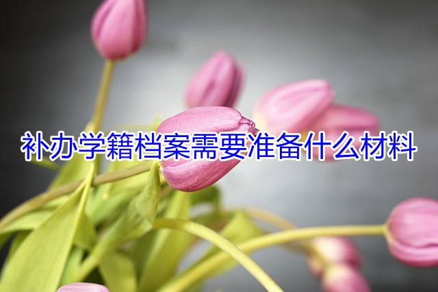 补办学籍档案需要准备什么材料