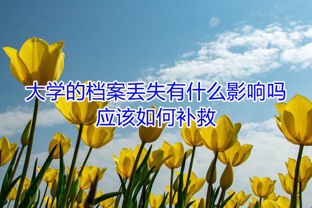 大学的档案丢失有什么影响吗，应该如何补救