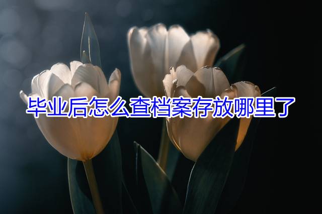 毕业后怎么查档案存放哪里了