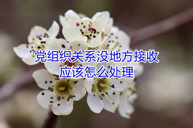 党组织关系没地方接收，应该怎么处理