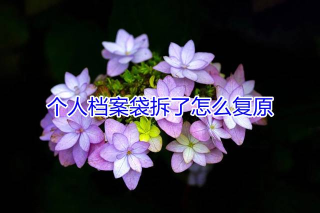 个人档案袋拆了怎么复原