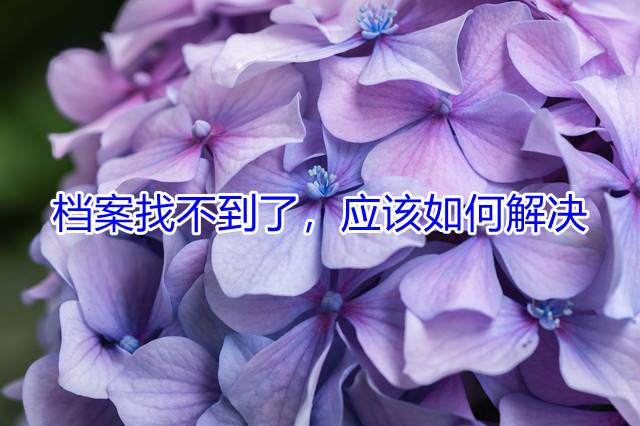 档案找不到了，应该如何解决