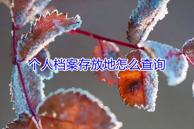 个人档案存放地怎么查询