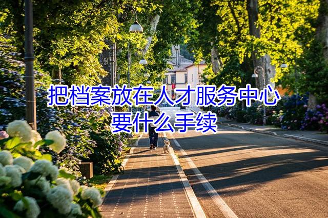 把档案放在人才服务中心要什么手续