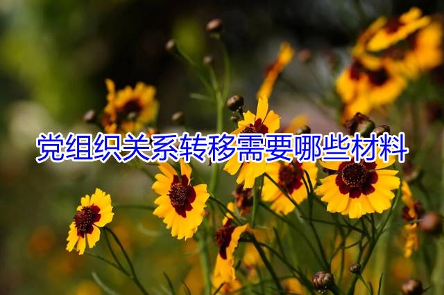 党组织关系转移需要哪些材料