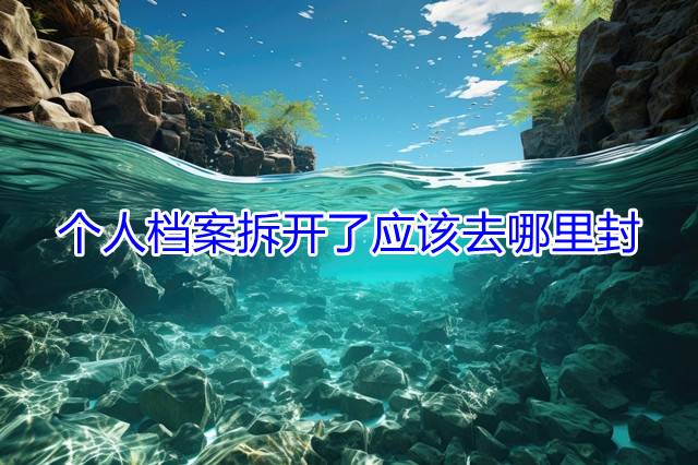 个人档案拆开了应该去哪里封