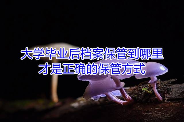 大学毕业后档案保管到哪里才是正确的保管方式