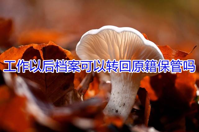 工作以后档案可以转回原籍保管吗