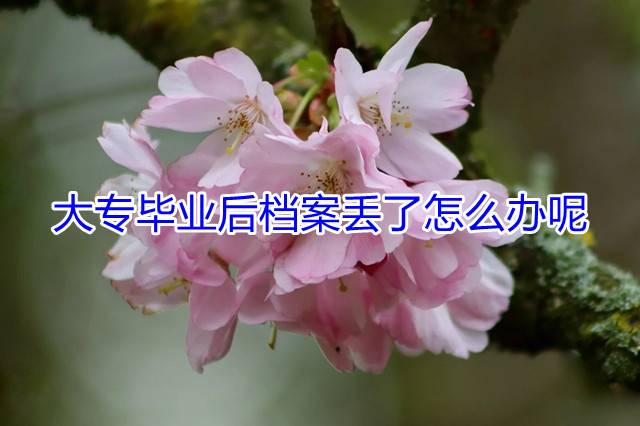 大专毕业后档案丢了怎么办呢