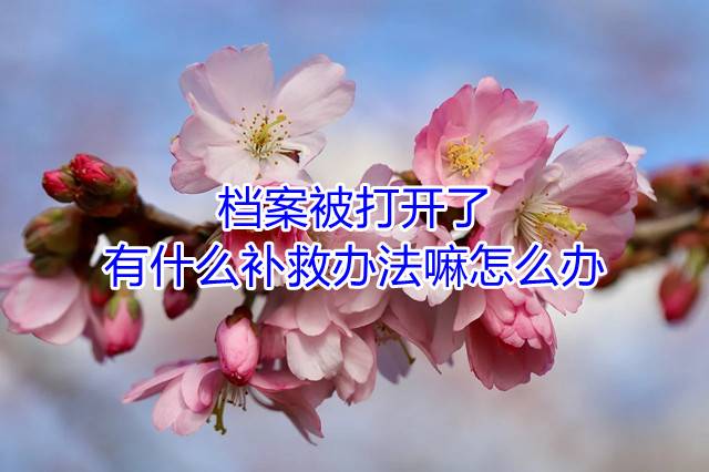 档案被打开了有什么补救办法嘛怎么办