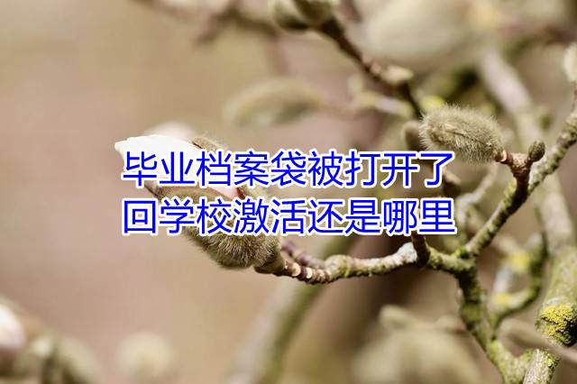 毕业档案袋被打开了回学校激活还是哪里